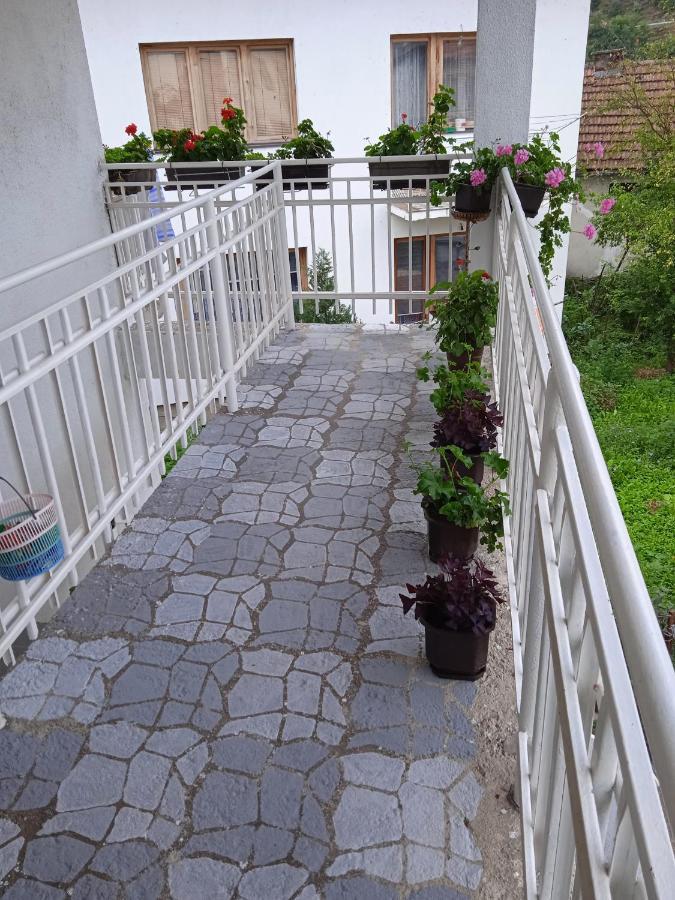 Sarac *